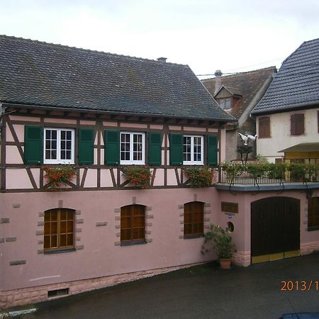 Gite Au Nid De Cigognes Villa Dieffenthal Buitenkant foto