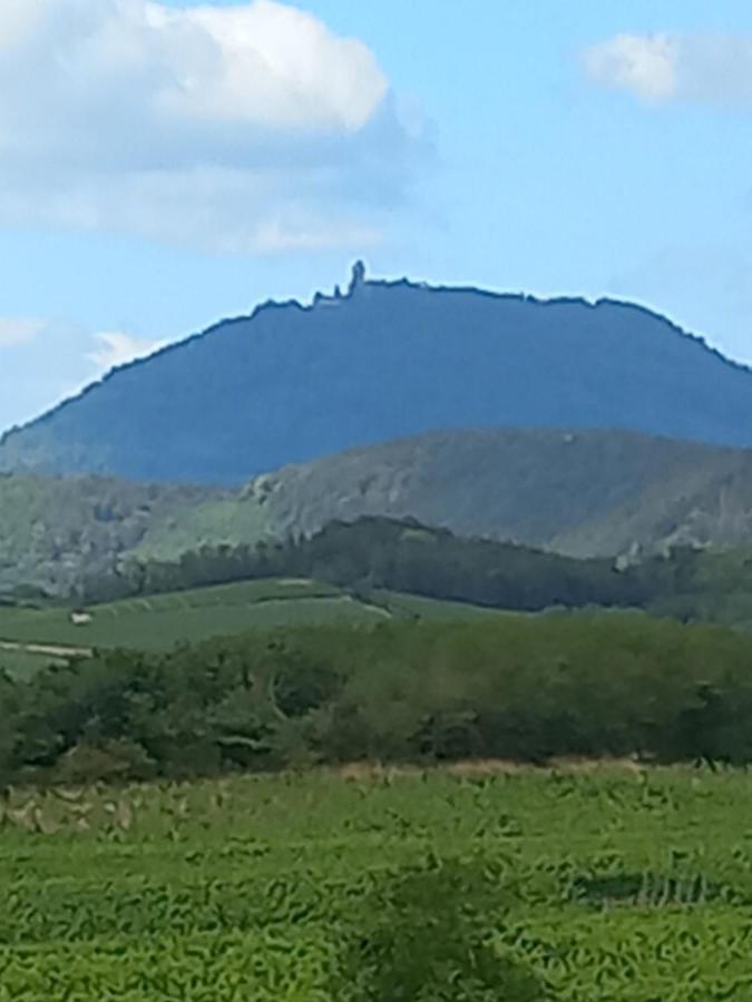 Gite Au Nid De Cigognes Villa Dieffenthal Buitenkant foto