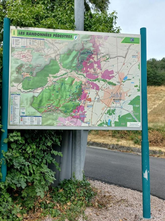 Gite Au Nid De Cigognes Villa Dieffenthal Buitenkant foto