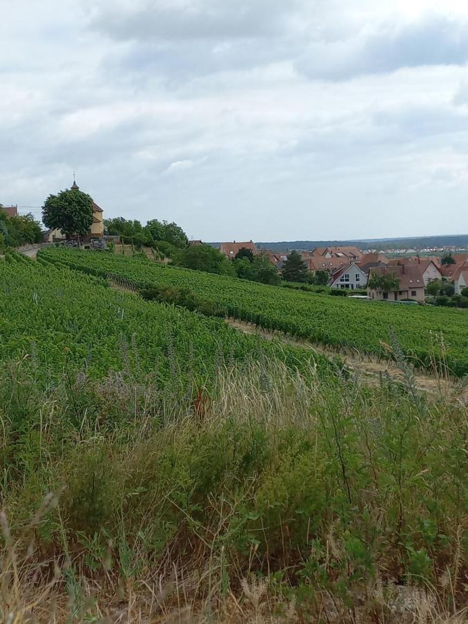 Gite Au Nid De Cigognes Villa Dieffenthal Buitenkant foto
