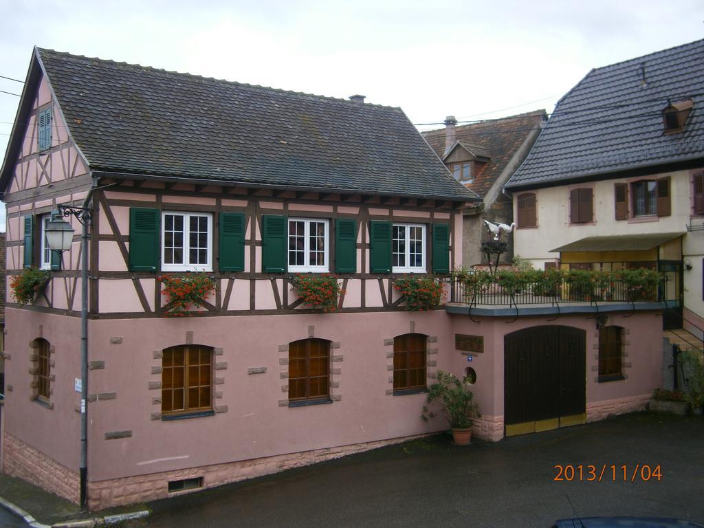 Gite Au Nid De Cigognes Villa Dieffenthal Buitenkant foto